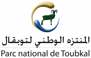 Logo_PN